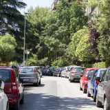 E terminiamo il nostro viaggio in Via Mauro Amoruso Manzari, una delle prime arterie sorte nel quartiere. In questo punto Bari diventa una �foresta�...